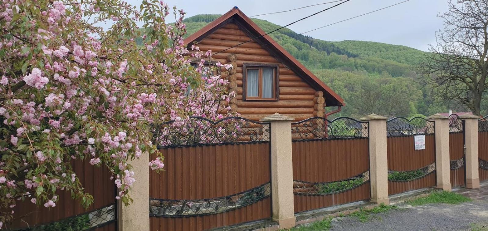 Smerekovyi Dvir Poljana Exteriör bild